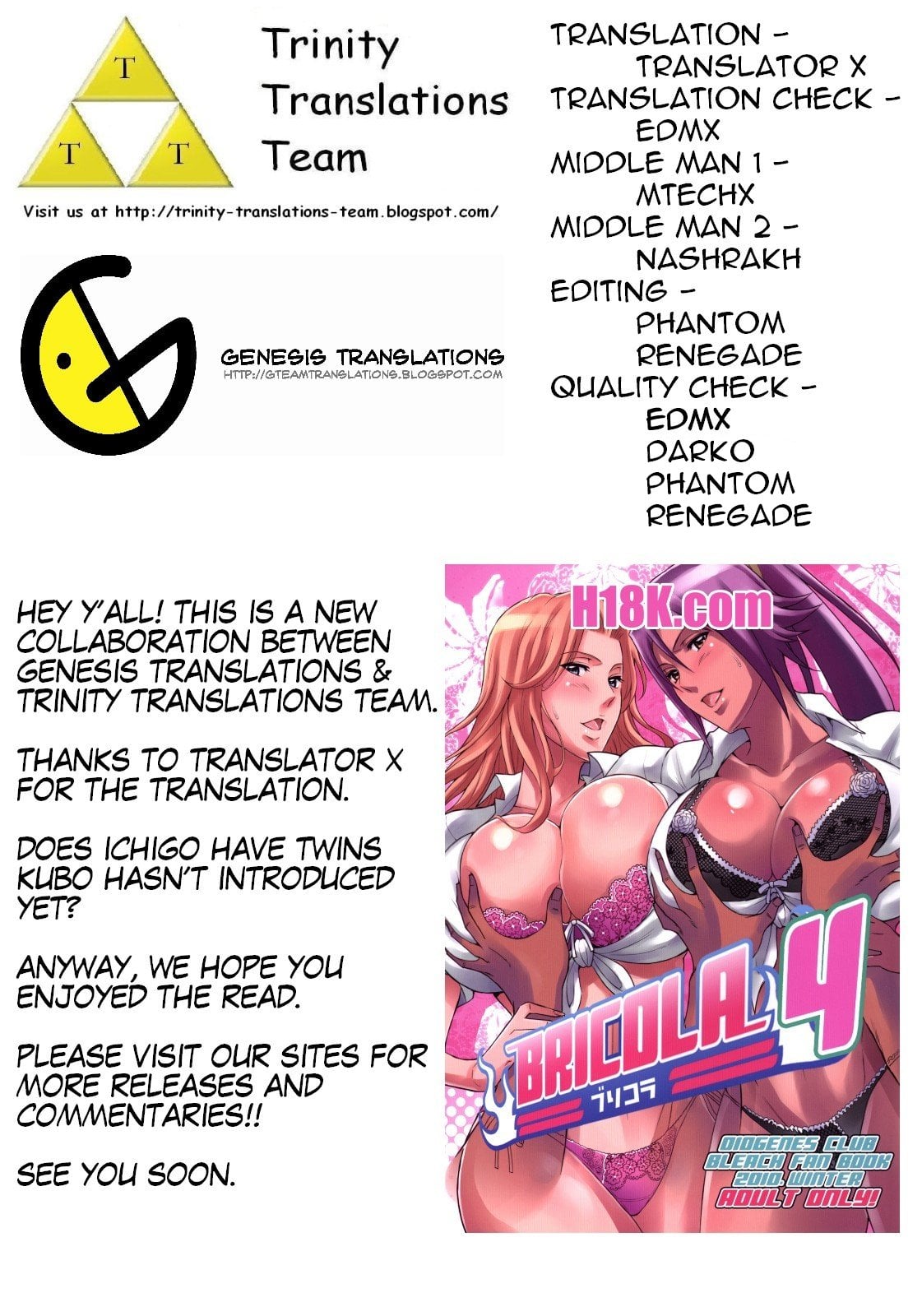BRICOLA page 31