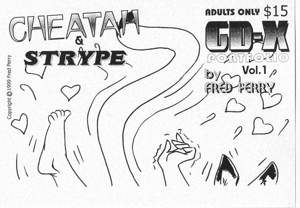 GD-X Portfolio – Cheatah & Strype page 1