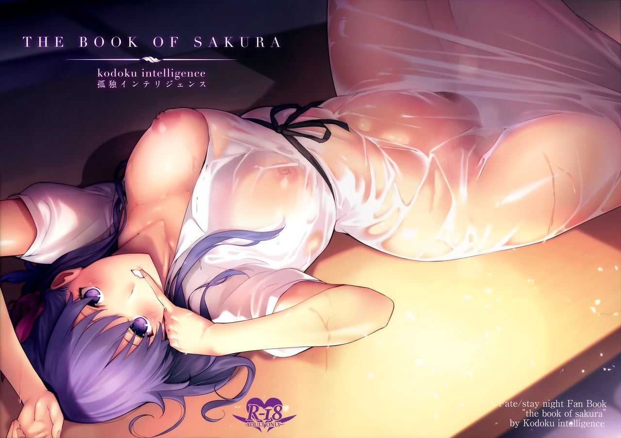 The Book Of Sakura page 21